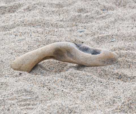 info@aufstellung-gesundheit.de